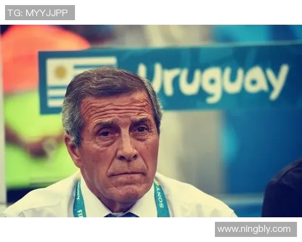 美国足球明星风采揭秘与成就回顾带你走进他们的精彩人生