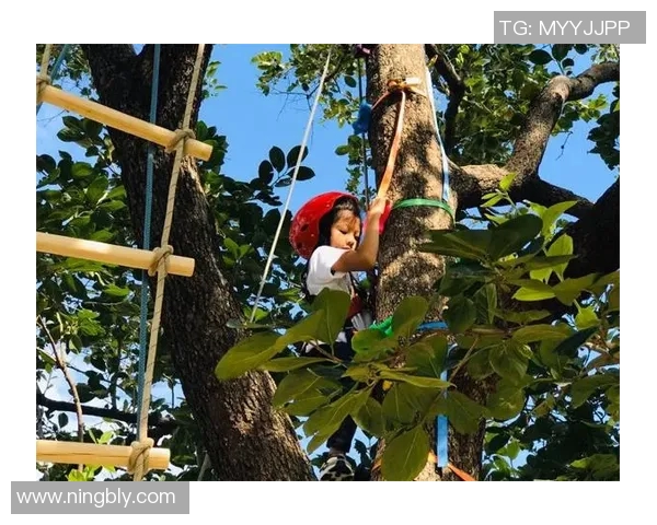 积木篮球明星带你体验拼搭与竞技的完美结合尽享创意与运动的双重乐趣